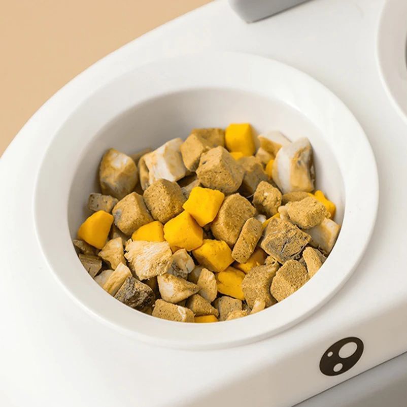 Elevate Your Pet's Dining Experience with Our Duck Design Pet Double Bowl Tray